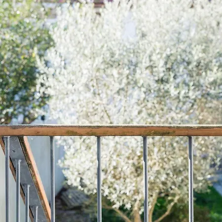 Apartment Guestready - Daisy Boutique